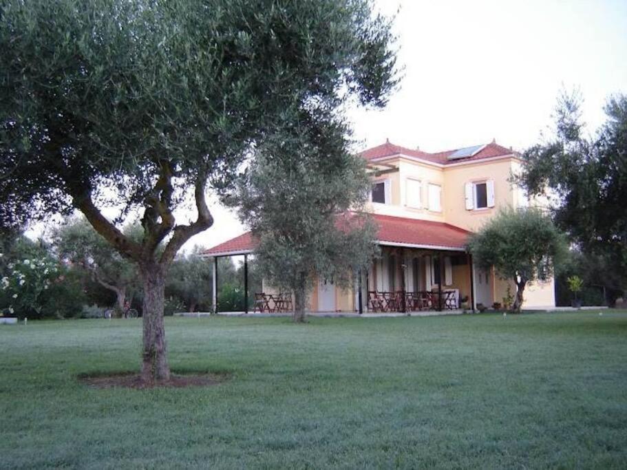 Phyllida Guest House - A2 Zacharo Exterior photo